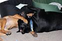 Sandy and Bas_08-05-17_0007